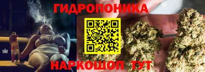 прущие крисы Шебекино