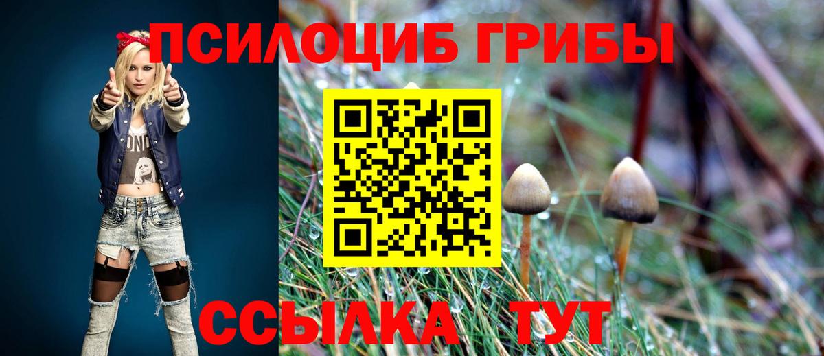 Псилоцибиновые грибы мицелий Лесной