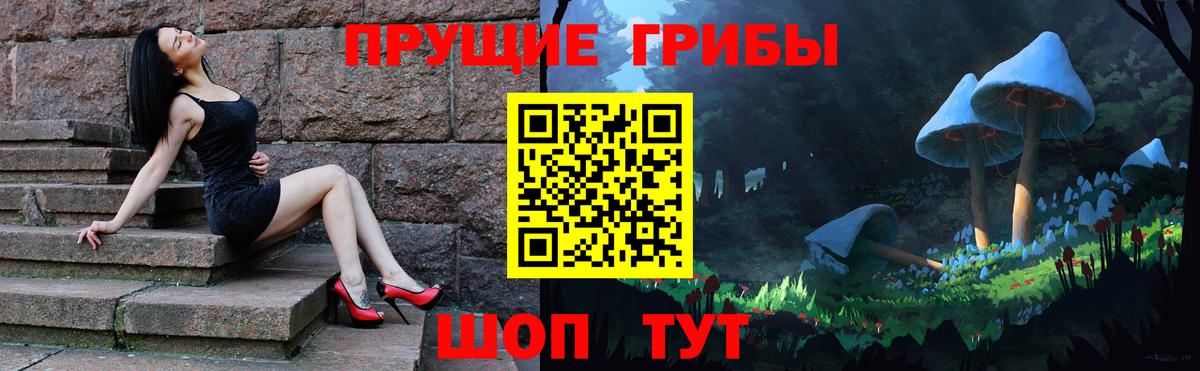 Галлюциногенные грибы GOLDEN TEACHER  Вход с VPN  Лесной 